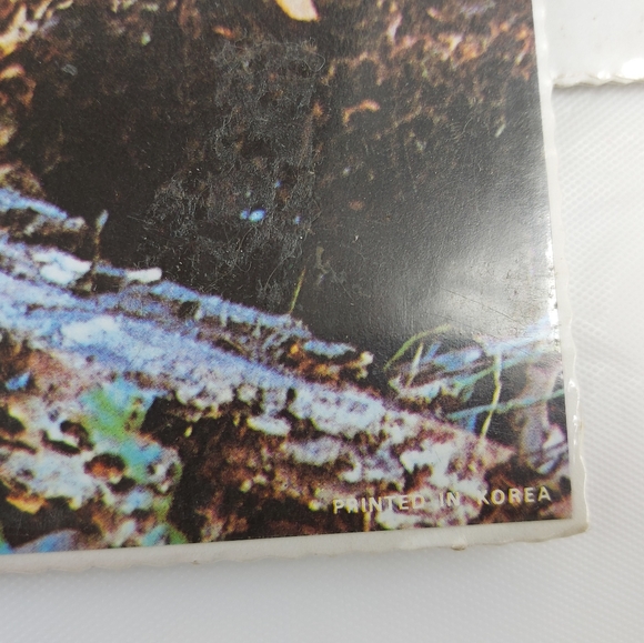 - Bruce lakofka, Tom Bakefield posters wolf panther 8x10 3 prints lot - Picture 8 of 14